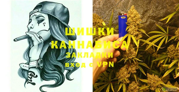 PSILOCYBIN Аркадак
