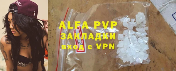 PSILOCYBIN Аркадак