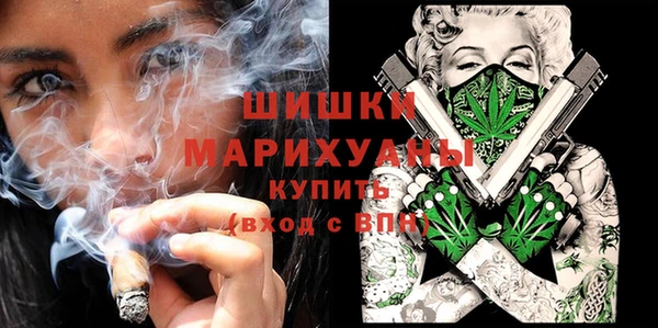 винт Арсеньев