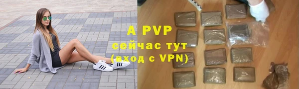 PSILOCYBIN Аркадак