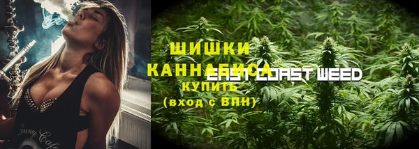 PSILOCYBIN Аркадак