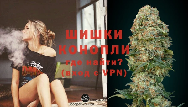 PSILOCYBIN Аркадак