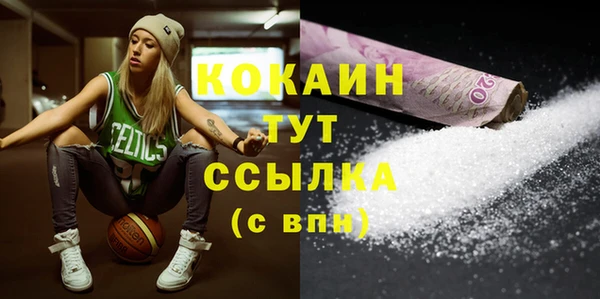 PSILOCYBIN Аркадак